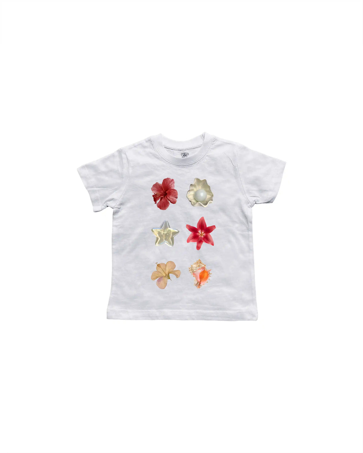 Frutas y Flores